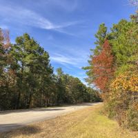 28 Acres &nbsp; New Waterwood &nbsp; T-14B