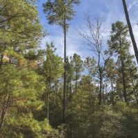 28 Acres &nbsp; New Waterwood &nbsp; T-14B images 2
