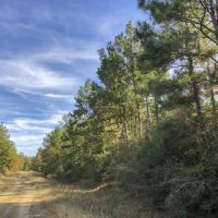 28 Acres &nbsp; New Waterwood &nbsp; T-14B images 3