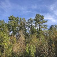 28 Acres &nbsp; New Waterwood &nbsp; T-14B images 4
