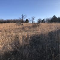 Gilbert Hunting Ranch images 6