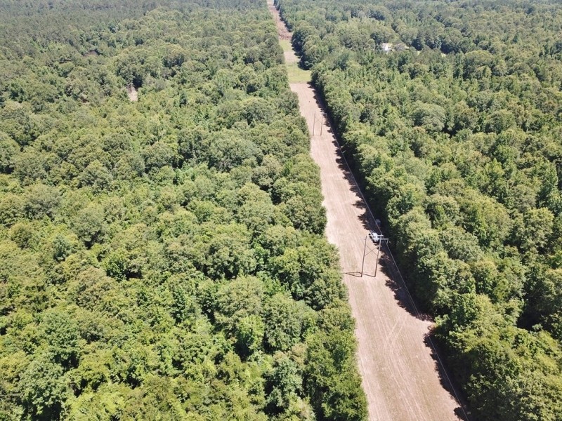 40 Acre Small Hunting Tract Near LA  MS State Line Osyka  MS featured image