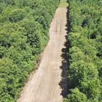 40 Acre Small Hunting Tract Near LA  MS State Line Osyka  MS images 2