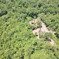 40 Acre Small Hunting Tract Near LA  MS State Line Osyka  MS images 4
