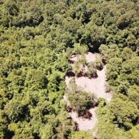 40 Acre Small Hunting Tract Near LA  MS State Line Osyka  MS images 5