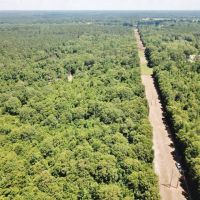 40 Acre Small Hunting Tract Near LA  MS State Line Osyka  MS images 6