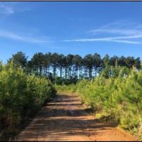 149.5 Acres in Madison County in Canton  MS images 1