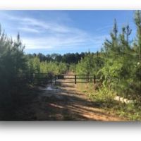 149.5 Acres in Madison County in Canton  MS images 2