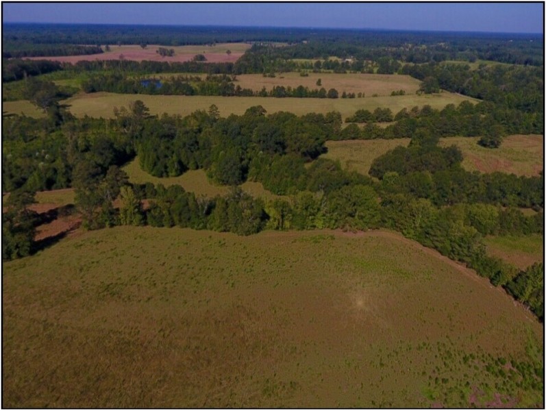 30 Acres in Neshoba County on County Road 832 in Philadelphia  MS featured image