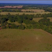 30 Acres in Neshoba County on County Road 832 in Philadelphia  MS