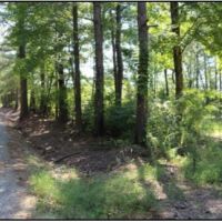 30 Acres in Neshoba County on County Road 832 in Philadelphia  MS images 2