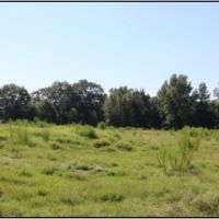 30 Acres in Neshoba County on County Road 832 in Philadelphia  MS images 3