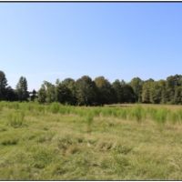 30 Acres in Neshoba County on County Road 832 in Philadelphia  MS images 4