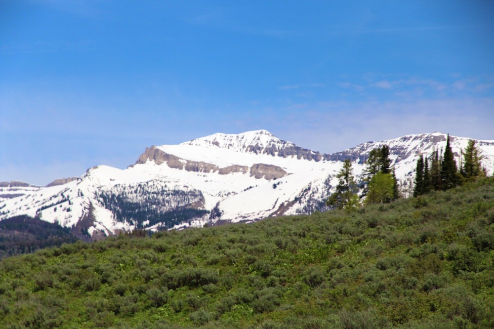Wyoming Hunting &nbsp; Snowmobile Outfitting Business For Sale featured image
