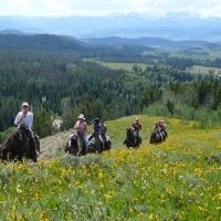 Wyoming Hunting &nbsp; Snowmobile Outfitting Business For Sale images 5