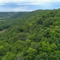 Whimsical World-Class Estate for Sale in Genoa  WI images 3