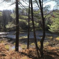 50 acres Timberland in Fine NY near the Oswegatchie River