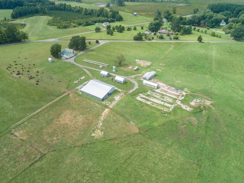 Cattle Ranch &nbsp; Recreational Land For Sale in Dinwiddie County  VA featured image