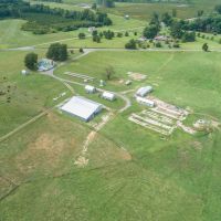 Cattle Ranch &nbsp; Recreational Land For Sale in Dinwiddie County  VA