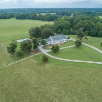 Cattle Ranch &nbsp; Recreational Land For Sale in Dinwiddie County  VA images 2