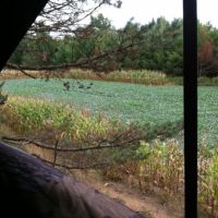 Premier Property in Central Wisconsin images 3
