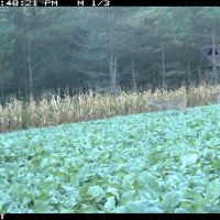 Premier Property in Central Wisconsin images 4