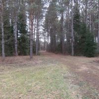 Premier Property in Central Wisconsin images 5