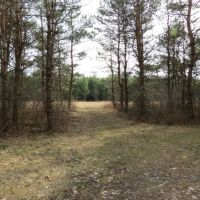 Premier Property in Central Wisconsin images 6
