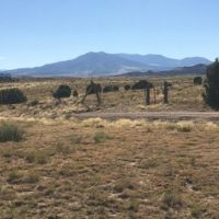 13 Eagle Flats Ranch Unit 1 images 2