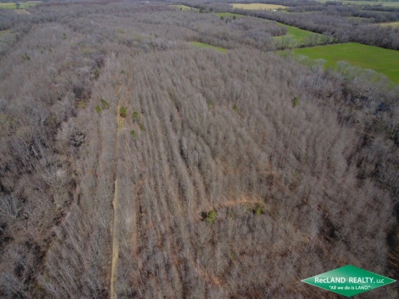 200 ac - CRP Income &nbsp; Hunting Tract featured image
