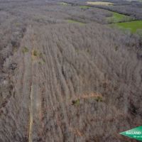 200 ac - CRP Income &nbsp; Hunting Tract