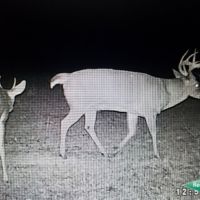 200 ac - CRP Income &nbsp; Hunting Tract images 2