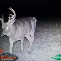 200 ac - CRP Income &nbsp; Hunting Tract images 3