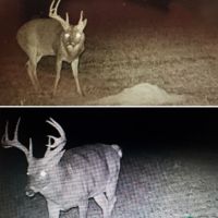 200 ac - CRP Income &nbsp; Hunting Tract images 4