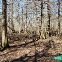 200 ac - CRP Income &nbsp; Hunting Tract images 5