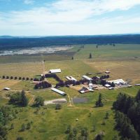 Tenino Alpaca Ranch images 2