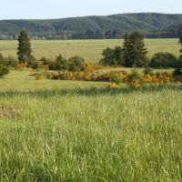 Tenino Alpaca Ranch images 3