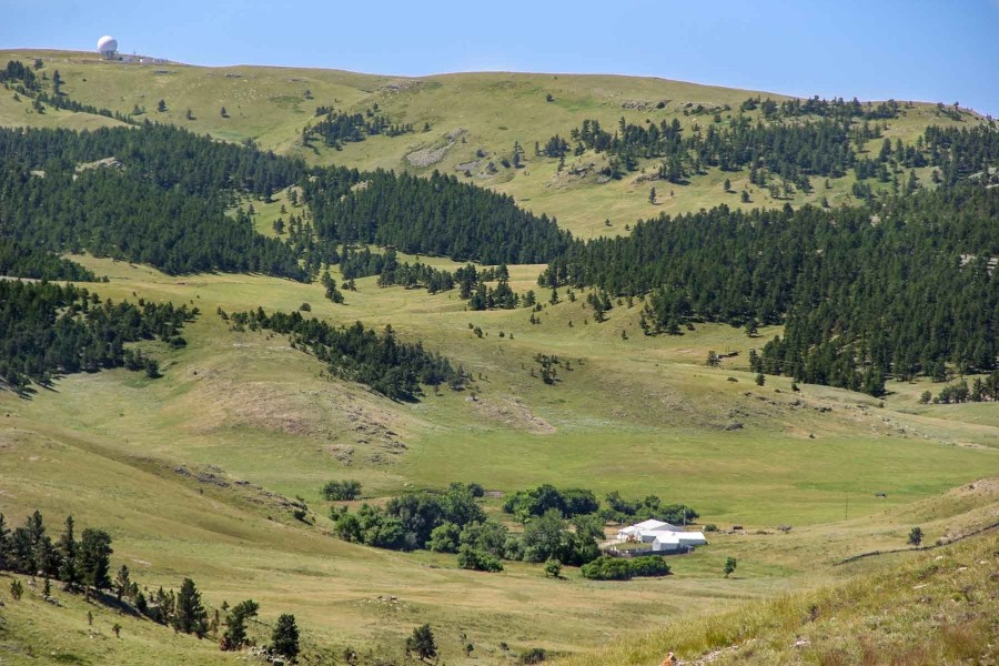 Denny Ranch featured image