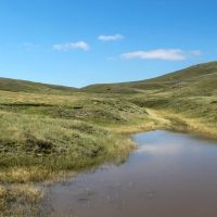 Denny Ranch images 4