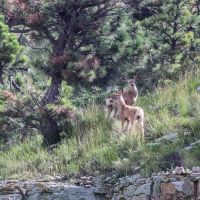 Denny Ranch images 5