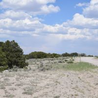 XX 603 images 3