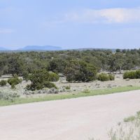 XX 603 images 4