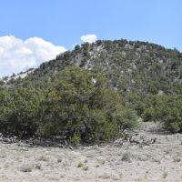 XX 603 images 5