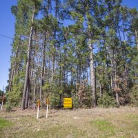 49 Acres &nbsp; FM 355 Fountain Rd &nbsp; Brushy Creek &nbsp;   Tract A5 images 2