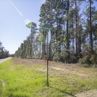 49 Acres &nbsp; FM 355 Fountain Rd &nbsp; Brushy Creek &nbsp;   Tract A5 images 4