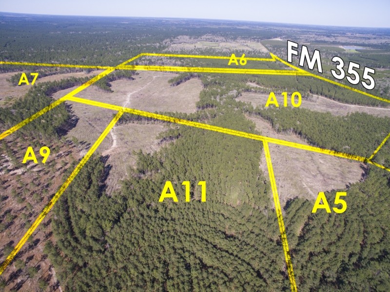 67 Acres &nbsp; FM 355 &nbsp; Brushy Creek &nbsp;   Tract A6 featured image