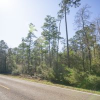 67 Acres &nbsp; FM 355 &nbsp; Brushy Creek &nbsp;   Tract A6 images 6