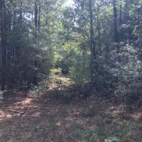 22 Acres in Jefferson Davis County in Prentiss  MS images 3