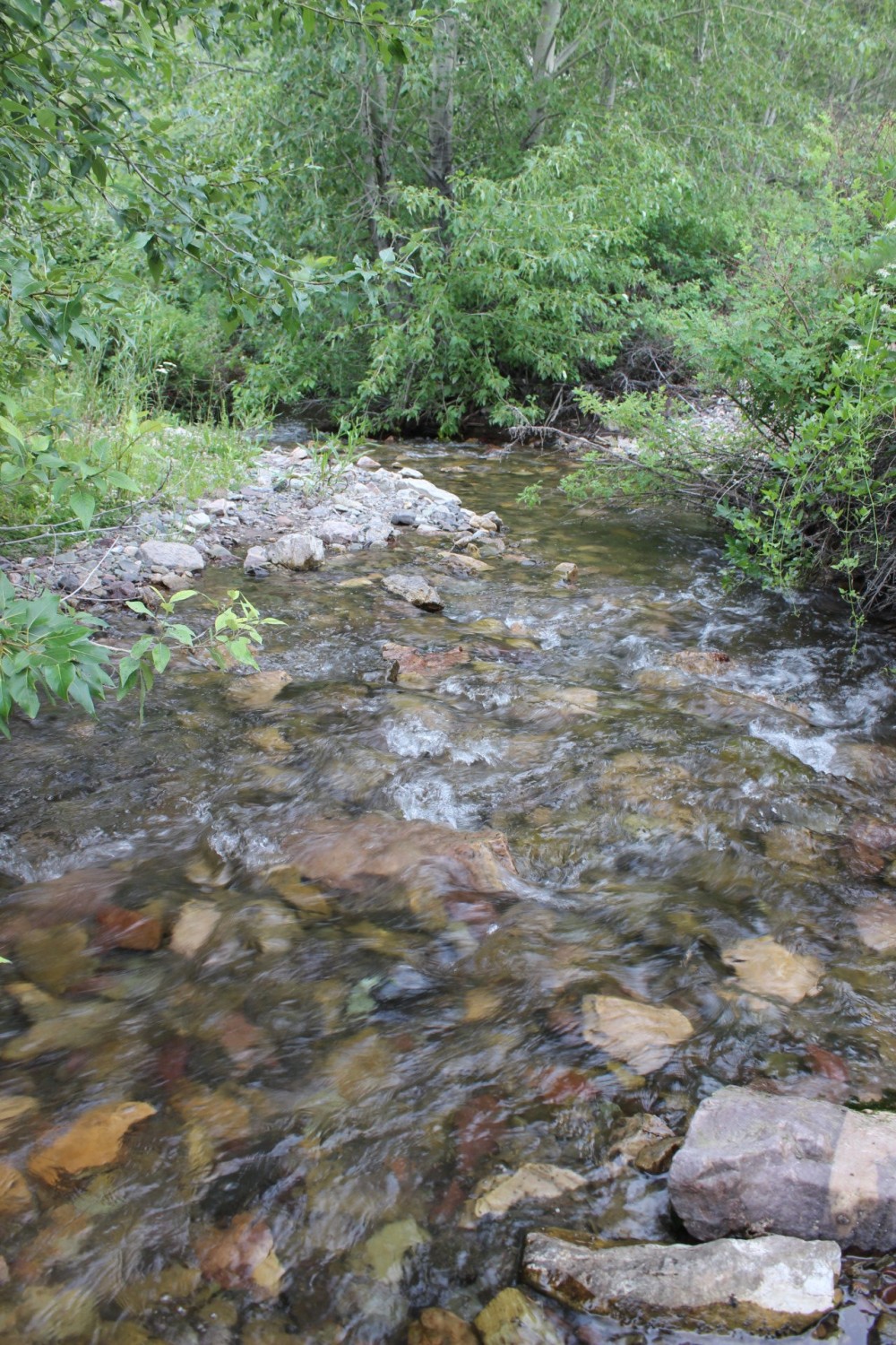 Dry Creek Mountain Ranch featured image