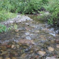 Dry Creek Mountain Ranch